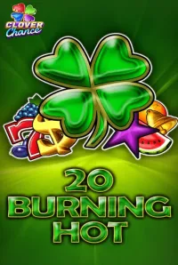 20 burning hot official logo
